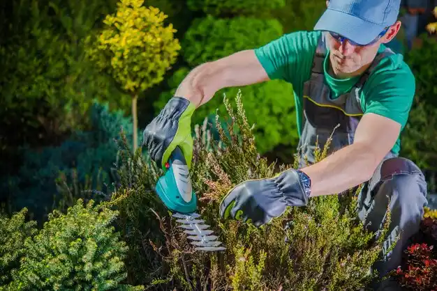 landscaping services Eunice